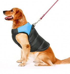 PAWZ Road Pet Clothes
