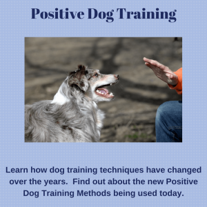 Positive Dog Training