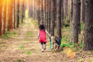 walking dog on leash