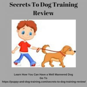 secrets to dog training review