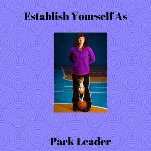 Establish Yourself as Pack Leader