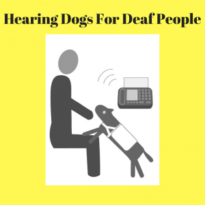 hearing dogs for deaf people